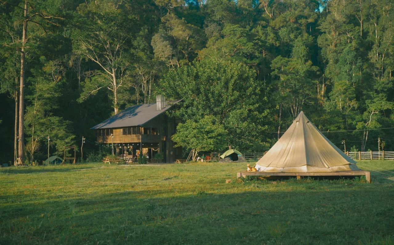 Camping in Da Lat: 5 Places as Poetic as Ghibli Movies
