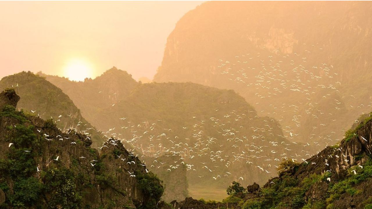 The pristine beauty at Thung Nham eco-tourism area – Ninh Binh