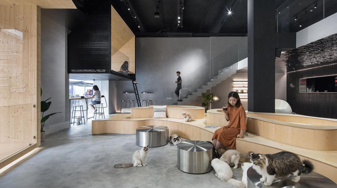 5 pet-friendly cafe spaces in Hanoi
