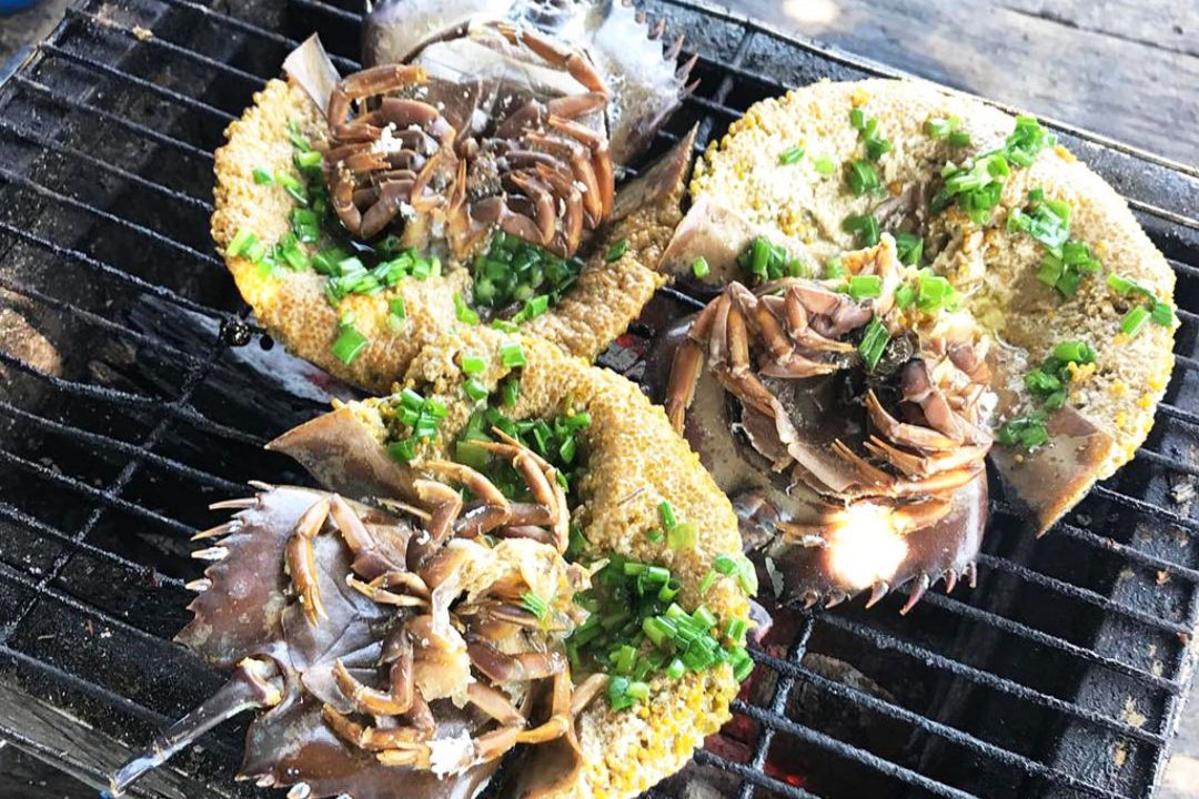 Sam (Horseshoe Crab) – A Specialty Dish of Ha Long That Travelers Must Try at Least Once