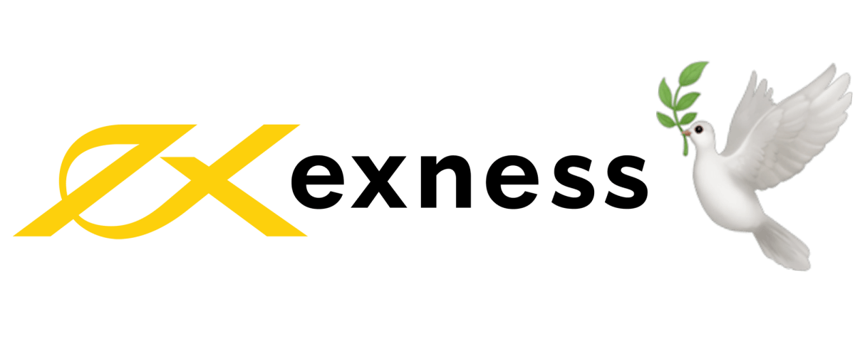 Unlocking the Potential of Exness Trading