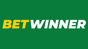 Betting on BetWinner Ivory Coast Your Ultimate Guide